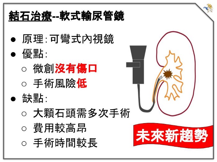 軟式輸尿管鏡