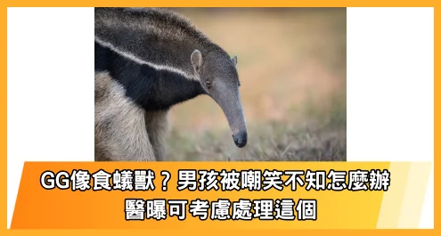 包皮過長遭同儕取笑「食蟻獸」！泌尿科醫師：包皮過長3徵兆需留意