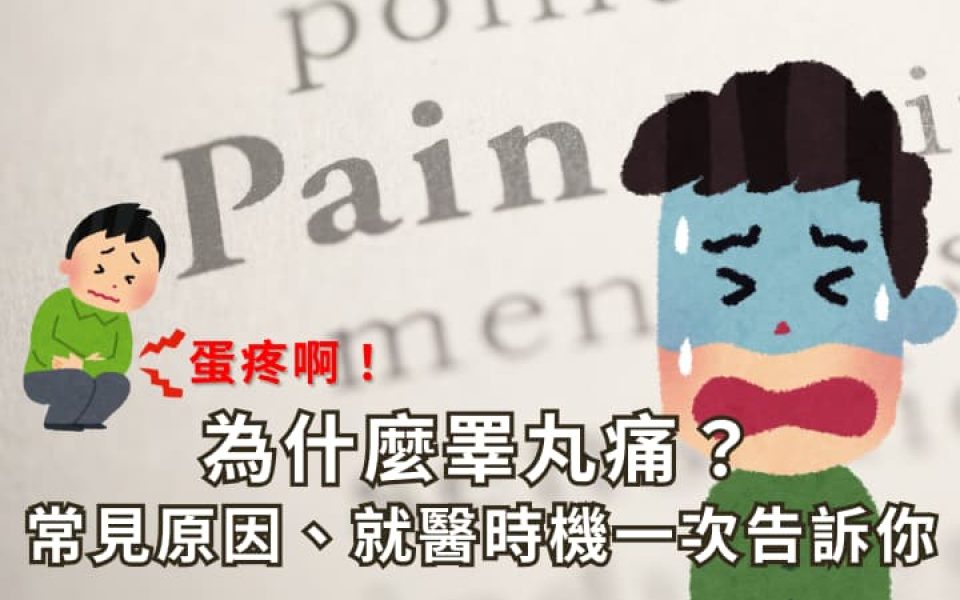 睪丸痛原因有哪些？副睪炎、睪丸扭轉、精索靜脈曲張、疝氣一次看懂